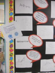 Rights through our curriculum displays